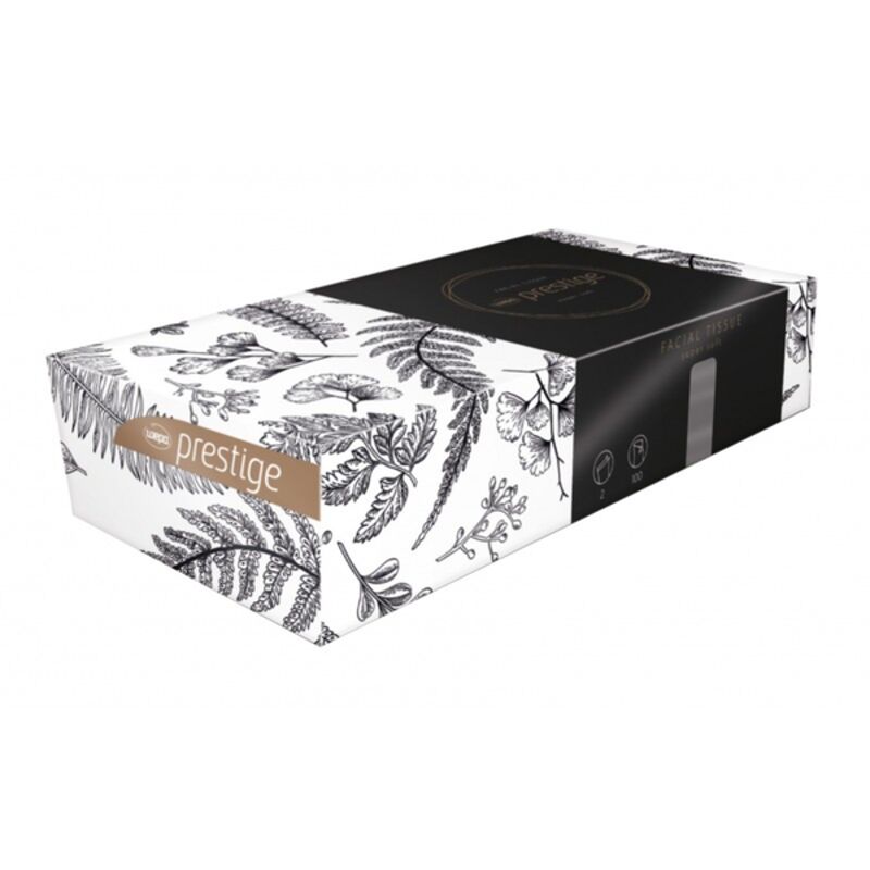 Image de Mouchoirs cosmétiques 2plis pure ouate blanc écolabel-206451-Ct40x100
