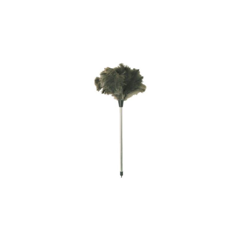 Image de FDV* Plumeau en véritable plumes d'autruche avec manche métal