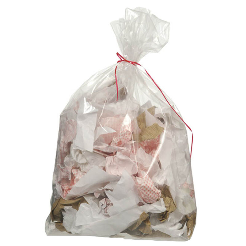 Image de SP 100L transparent BD 820X870  30µ- Ct. de 200 Sacs