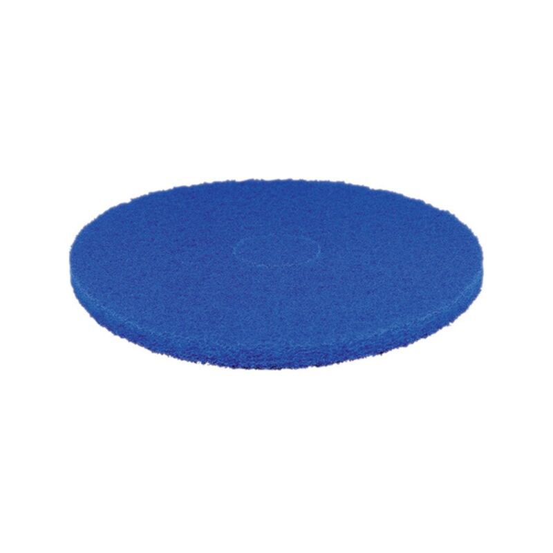 Image de Disque abrasif standard bleu 254mm