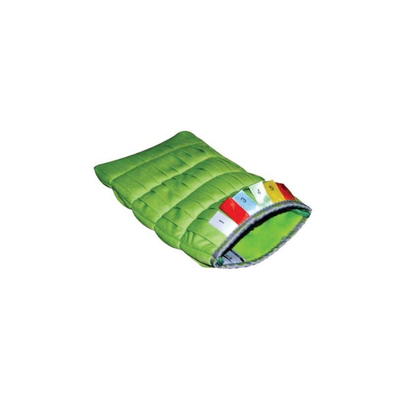 Image de Gant microfibre vert à vitre DELTA 14 x 26 cm 200gr/m² - Sachet de 2