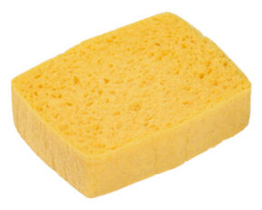 Image de Eponge végétale SPONTEX Azella 93 n°6 - Sachet de 10