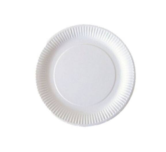Image de Assiette blanche en carton 100% biodégradable D.18 - Colis 1000